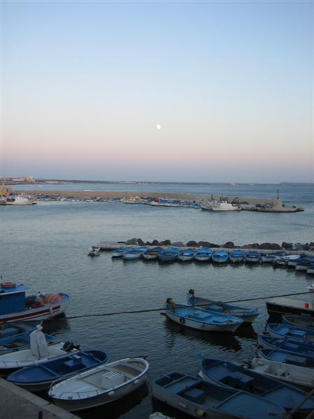 Gallipoli 8270